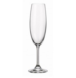 Maison Forine S/4 Lead-Free Bohemian Crystal champagne Glasses 210 Ml