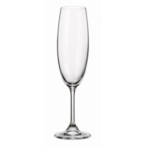 Maison Forine S/4 Lead-Free Bohemian Crystal champagne Glasses 210 Ml