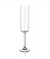 Moderna Champagne Glasses Crystal lead free Set of 8 Pcs, 200 ML/ 1259
